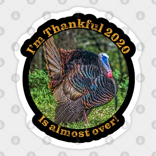 Thanksgiving 2020 Thankful this year is almost over Sticker by SteveKight